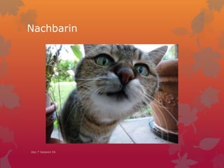 Nachbarin
Dec 7 Session 54
 