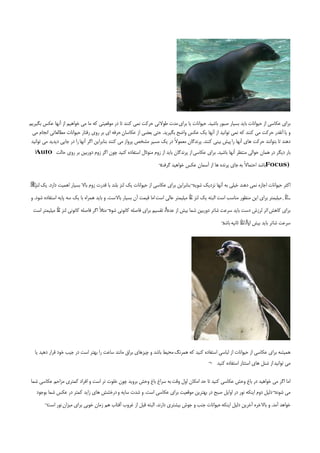 ‫ﺑﺮاي ﻋﻜﺎﺳﻲ از ﺣﻴﻮاﻧﺎت ﺑﺎﻳﺪ ﺑﺴﻴﺎر ﺻﺒﻮر ﺑﺎﺷﻴﺪ. ﺣﻴﻮاﻧﺎت ﻳﺎ ﺑﺮاي ﻣﺪت ﻃﻮﻻﻧﻲ ﺣﺮﻛﺖ ﻧﻤﻲ ﻛﻨﻨﺪ ﺗﺎ در ﻣﻮﻗﻌﻴﺘﻲ ﻛﻪ ﻣﺎ ﻣﻲ ﺧﻮاﻫﻴﻢ از آﻧﻬﺎ ﻋﻜﺲ ﺑﮕﻴﺮﻳﻢ‬
 ‫و ﻳﺎ آﻧﻘﺪر ﺣﺮﻛﺖ ﻣﻲ ﻛﻨﻨﺪ ﻛﻪ ﻧﻤﻲ ﺗﻮاﻧﻴﺪ از آﻧﻬﺎ ﻳﻚ ﻋﻜﺲ واﺿﺢ ﺑﮕﻴﺮﻳﺪ. ﺣﺘﻲ ﺑﻌﻀﻲ از ﻋﻜﺎﺳﺎن ﺣﺮﻓﻪ اي ﺑﺮ روي رﻓﺘﺎر ﺣﻴﻮاﻧﺎت ﻣﻄﺎﻟﻌﺎﺗﻲ اﻧﺠﺎم ﻣﻲ‬
 ‫دﻫﻨﺪ ﺗﺎ ﺑﺘﻮاﻧﻨﺪ ﺣﺮﻛﺖ ﻫﺎي آﻧﻬﺎ را ﭘﻴﺶ ﺑﻴﻨﻲ ﻛﻨﻨﺪ. ﭘﺮﻧﺪﮔﺎن ﻣﻌﻤﻮﻻً در ﻳﻚ ﻣﺴﻴﺮ ﻣﺸﺨﺺ ﭘﺮواز ﻣﻲ ﻛﻨﻨﺪ ﺑﻨﺎﺑﺮاﻳﻦ اﮔﺮ آﻧﻬﺎ را در ﺟﺎﻳﻲ دﻳﺪﻳﺪ ﻣﻲ ﺗﻮاﻧﻴﺪ‬
  ‫ﺑﺎر دﻳﮕﺮ در ﻫﻤﺎن ﺣﻮاﻟﻲ ﻣﻨﺘﻈﺮ آﻧﻬﺎ ﺑﺎﺷﻴﺪ. ﺑﺮاي ﻋﻜﺎﺳﻲ از ﭘﺮﻧﺪﮔﺎن ﺑﺎﻳﺪ از زوم ﻣﻨﻮﺋﺎل اﺳﺘﻔﺎده ﻛﻨﻴﺪ ﭼﻮن اﮔﺮ زوم دورﺑﻴﻦ ﺑﺮ روي ﺣﺎﻟﺖ ‪Auto‬‬
  ‫¹‬
                                                                    ‫)‪Focus‬ﺑﺎﺷﺪ اﺣﺘﻤﺎﻻً ﺑﻪ ﺟﺎي ﭘﺮﻧﺪه ﻫﺎ از آﺳﻤﺎن ﻋﻜﺲ ﺧﻮاﻫﻴﺪ ¬‬
                                                                    ‫ﮔﺮﻓﺖ‬


‫اﻛﺜﺮ ﺣﻴﻮاﻧﺎت اﺟﺎزه ﻧﻤﻲ دﻫﻨﺪ ﺧﻴﻠﻲ ﺑﻪ آﻧﻬﺎ ﻧﺰدﻳﻚ ¬ﺑﻨﺎﺑﺮاﻳﻦ ﺑﺮاي ﻋﻜﺎﺳﻲ از ﺣﻴﻮاﻧﺎت ﻳﻚ ﻟﻨﺰ ﺑﻠﻨﺪ ﺑﺎ ﻗﺪرت زوم ﺑﺎﻻ ﺑﺴﻴﺎر اﻫﻤﻴﺖ دارد. ﻳﻚ ﻟﻨﺰ 7‬
‫5‬                                                                                     ‫ﺷﻮﻳﺪ‬
‫ـ5 3 ﻣﻴﻠﻴﻤﺘﺮ ﺑﺮاي اﻳﻦ ﻣﻨﻈﻮر ﻣﻨﺎﺳﺐ اﺳﺖ اﻟﺒﺘﻪ ﻳﻚ ﻟﻨﺰ 5 ﻣﻴﻠﻴﻤﺘﺮ ﻋﺎﻟﻲ اﺳﺖ اﻣﺎ ﻗﻴﻤﺖ آن ﺑﺴﻴﺎر ﺑﺎﻻﺳﺖ. و ﺑﺎﻳﺪ ﻫﻤﺮاه ﺑﺎ ﻳﻚ ﺳﻪ ﭘﺎﻳﻪ اﺳﺘﻔﺎده ﺷﻮد. و‬
                                                                                    ‫00‬                                                ‫0‬
  ‫ﺑﺮاي ﻛﺎﻫﺶ اﺛﺮ ﻟﺮزش دﺳﺖ ﺑﺎﻳﺪ ﺳﺮﻋﺖ ﺷﺎﺗﺮ دورﺑﻴﻦ ﺷﻤﺎ ﺑﻴﺶ از ﻋﺪد1 ﺗﻘﺴﻴﻢ ﺑﺮاي ﻓﺎﺻﻠﻪ ﻛﺎﻧﻮﻧﻲ ¬ﻣﺜﻼً اﮔﺮ ﻓﺎﺻﻠﻪ ﻛﺎﻧﻮﻧﻲ ﻟﻨﺰ 5 ﻣﻴﻠﻴﻤﺘﺮ اﺳﺖ‬
              ‫00‬                          ‫ﺷﻮد‬
                                                                                                     ‫ﺳﺮﻋﺖ ﺷﺎﺗﺮ ﺑﺎﻳﺪ ﺑﻴﺶ از1/5 ﺛﺎﻧﻴﻪ ¬‬
                                                                                                     ‫ﺑﺎﺷﺪ‬    ‫00‬




  ‫ﻫﻤﻴﺸﻪ ﺑﺮاي ﻋﻜﺎﺳﻲ از ﺣﻴﻮاﻧﺎت از ﻟﺒﺎﺳﻲ اﺳﺘﻔﺎده ﻛﻨﻴﺪ ﻛﻪ ﻫﻤﺮﻧﮓ ﻣﺤﻴﻂ ﺑﺎﺷﺪ و ﭼﻴﺰﻫﺎي ﺑﺮاق ﻣﺎﻧﻨﺪ ﺳﺎﻋﺖ را ﺑﻬﺘﺮ اﺳﺖ در ﺟﻴﺐ ﺧﻮد ﻗﺮار دﻫﻴﺪ ﻳﺎ‬
                                                                                              ‫ﻣﻲ ﺗﻮاﻧﻴﺪ از ﺷﻨﻞ ﻫﺎي اﺳﺘﺘﺎر اﺳﺘﻔﺎده ﻛﻨﻴﺪ ¬‬

‫اﻣﺎ اﮔﺮ ﻣﻲ ﺧﻮاﻫﻴﺪ در ﺑﺎغ وﺣﺶ ﻋﻜﺎﺳﻲ ﻛﻨﻴﺪ ﺗﺎ ﺣﺪ اﻣﻜﺎن اول وﻗﺖ ﺑﻪ ﺳﺮاغ ﺑﺎغ وﺣﺶ ﺑﺮوﻳﺪ ﭼﻮن ﺧﻠﻮت ﺗﺮ اﺳﺖ و اﻓﺮاد ﻛﻤﺘﺮي ﻣﺰاﺣﻢ ﻋﻜﺎﺳﻲ ﺷﻤﺎ‬
   ‫ﻣﻲ ¬دﻟﻴﻞ دوم اﻳﻨﻜﻪ ﻧﻮر در اواﻳﻞ ﺻﺒﺢ در ﺑﻬﺘﺮﻳﻦ ﻣﻮﻗﻌﻴﺖ ﺑﺮاي ﻋﻜﺎﺳﻲ اﺳﺖ. و ﺷﺪت ﺳﺎﻳﻪ و درﺧﺸﺶ ﻫﺎي زاﻳﺪ ﻛﻤﺘﺮ در ﻋﻜﺲ ﺷﻤﺎ ﺑﻮﺟﻮد‬
                                                                                                                      ‫ﺷﻮﻧﺪ‬
        ‫ﺧﻮاﻫﺪ آﻣﺪ. و ﺑﺎﻻﺧﺮه آﺧﺮﻳﻦ دﻟﻴﻞ اﻳﻨﻜﻪ ﺣﻴﻮاﻧﺎت ﺟﻨﺐ و ﺟﻮش ﺑﻴﺸﺘﺮي دارﻧﺪ. اﻟﺒﺘﻪ ﻗﺒﻞ از ﻏﺮوب آﻓﺘﺎب ﻫﻢ زﻣﺎن ﺧﻮﺑﻲ ﺑﺮاي ﻣﻴﺰان ﻧﻮر ¬‬
         ‫اﺳﺖ‬
 