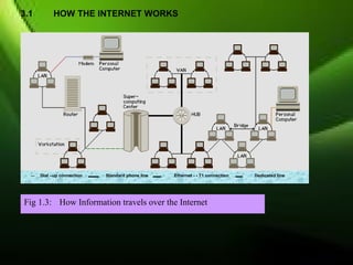 3.1          HOW THE INTERNET WORKS




  ---   Dial –up connection   Standard phone line   Ethernet - - T1 connection   Dedicated line




Fig 1.3: How Information travels over the Internet
 