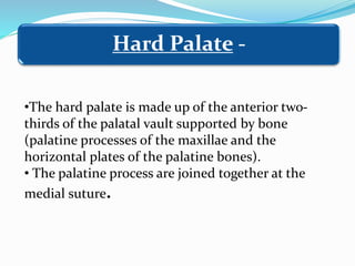 Hard Palate -
•The hard palate is made up of the anterior two-
thirds of the palatal vault supported by bone
(palatine processes of the maxillae and the
horizontal plates of the palatine bones).
• The palatine process are joined together at the
medial suture.
 