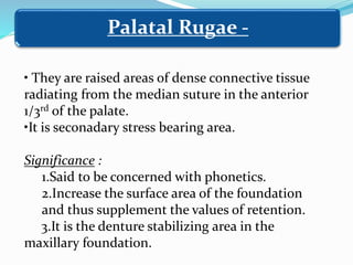 • They are raised areas of dense connective tissue
radiating from the median suture in the anterior
1/3rd of the palate.
•It is seconadary stress bearing area.
Significance :
1.Said to be concerned with phonetics.
2.Increase the surface area of the foundation
and thus supplement the values of retention.
3.It is the denture stabilizing area in the
maxillary foundation.
Palatal Rugae -
 