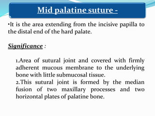 •It is the area extending from the incisive papilla to
the distal end of the hard palate.
Significance :
1.Area of sutural joint and covered with firmly
adherent mucous membrane to the underlying
bone with little submucosal tissue.
2.This sutural joint is formed by the median
fusion of two maxillary processes and two
horizontal plates of palatine bone.
Mid palatine suture -
 