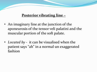 Posterior vibrating line –
• An imaginary line at the junction of the
aponeurosis of the tensor veli palatini and the
muscular portion of the soft palate.
• Located by - it can be visualised when the
patient says “ah” in a normal un exaggerated
fashion
 