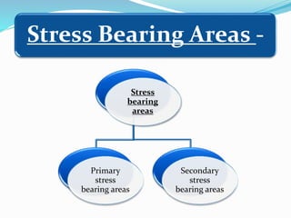 Stress
bearing
areas
Primary
stress
bearing areas
Secondary
stress
bearing areas
Stress Bearing Areas -
 