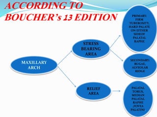 ACCORDING TO
BOUCHER’s 13 EDITION
MAXILLARY
ARCH
STRESS
BEARING
AREA
RELIEF
AREA
PRIMARY:
FIRM
TUBEROSITY,
HARD PALATE
ON EITHER
SIDEOF
PALATAL
RAPHE
SECONDARY:
RUGAE,
ALVEOLAR
RIDGE
PALATAL
TORUS,
MEDIAN
PALATAL
RAPHE
,FOVEA
PALATINI.
 