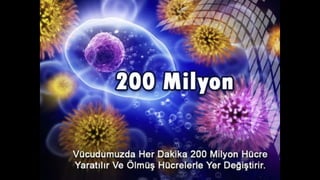 Akla tak?lan islami sorulara cevaplar
