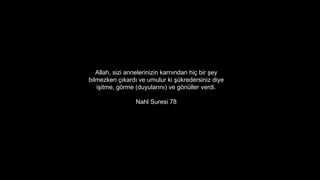 Allah, sizi annelerinizin karn?ndan hi? bir ?ey
bilmezken ??kard? ve umulur ki ?kredersiniz diye
i?itme, g?rme (duyular?n?) ve g?nller verdi.
Nahl Suresi 78
 