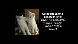 Karde?im bakma!
Bakarsan akl?n
kayar. Akl?n kayarsa
yre?in, Yre?in
kayarsa aya??n
kayar!!
 