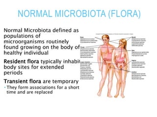 NORMAL MICROBIOTA (FLORA)
Normal Microbiota defined as
populations of
microorganisms routinely
found growing on the body of
healthy individual
Resident flora typically inhabit
body sites for extended
periods
Transient flora are temporary
 They form associations for a short
time and are replaced
 