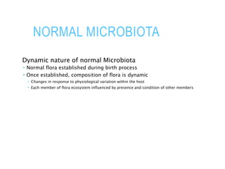 NORMAL MICROBIOTA
Dynamic nature of normal Microbiota
 Normal flora established during birth process
 Once established, composition of flora is dynamic
 Changes in response to physiological variation within the host
 Each member of flora ecosystem influenced by presence and condition of other members
 