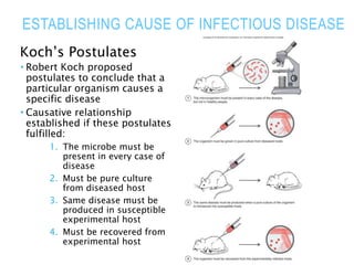 ESTABLISHING CAUSE OF INFECTIOUS DISEASE
Koch’s Postulates
 Robert Koch proposed
postulates to conclude that a
particular organism causes a
specific disease
 Causative relationship
established if these postulates
fulfilled:
1. The microbe must be
present in every case of
disease
2. Must be pure culture
from diseased host
3. Same disease must be
produced in susceptible
experimental host
4. Must be recovered from
experimental host
 
