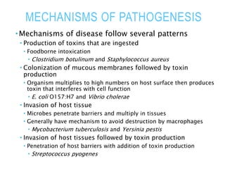 MECHANISMS OF PATHOGENESIS
 Mechanisms of disease follow several patterns
 Production of toxins that are ingested
 Foodborne intoxication
 Clostridium botulinum and Staphylococcus aureus
 Colonization of mucous membranes followed by toxin
production
 Organism multiplies to high numbers on host surface then produces
toxin that interferes with cell function
 E. coli O157:H7 and Vibrio cholerae
 Invasion of host tissue
 Microbes penetrate barriers and multiply in tissues
 Generally have mechanism to avoid destruction by macrophages
 Mycobacterium tuberculosis and Yersinia pestis
 Invasion of host tissues followed by toxin production
 Penetration of host barriers with addition of toxin production
 Streptococcus pyogenes
 