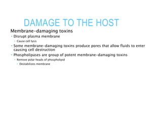 DAMAGE TO THE HOST
Membrane-damaging toxins
 Disrupt plasma membrane
 Cause cell lysis
 Some membrane-damaging toxins produce pores that allow fluids to enter
causing cell destruction
 Phospholipases are group of potent membrane-damaging toxins
 Remove polar heads of phospholipid
 Destabilizes membrane
 