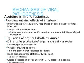 MECHANISMS OF VIRAL
PATHOGENESIS
Avoiding immune responses
 Avoiding antiviral effects of interferon
 Interferons alter regulatory responses of cell in event of viral
infection
 Helps limit viral replication
 Some viruses encode specific proteins to interrupt inhibition of viral
replication
 Regulation of host cell death by viruses
 Kill host after production of large numbers of viral copies
 Allows spread to other cells
 Viruses prevent apoptosis
 Inhibits protein that regulates apoptosis
 Block antigen presentation of MHC class I
 No sign of infection
 Cause production of “counterfit” MHC class I molecules
 