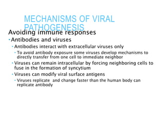 MECHANISMS OF VIRAL
PATHOGENESIS
Avoiding immune responses
 Antibodies and viruses
 Antibodies interact with extracellular viruses only
 To avoid antibody exposure some viruses develop mechanisms to
directly transfer from one cell to immediate neighbor
 Viruses can remain intracellular by forcing neighboring cells to
fuse in the formation of syncytium
 Viruses can modify viral surface antigens
 Viruses replicate and change faster than the human body can
replicate antibody
 