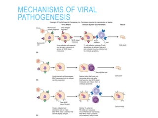MECHANISMS OF VIRAL
PATHOGENESIS
 