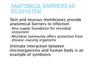 ANATOMICAL BARRIERS AS
ECOSYSTEM
Skin and mucous membranes provide
anatomical barriers to infection
 Also supply foundation for microbial
ecosystem
 Microbial community offers protection from
disease-causing organisms
Intimate interaction between
microorganisms and human body is an
example of symbiosis
 