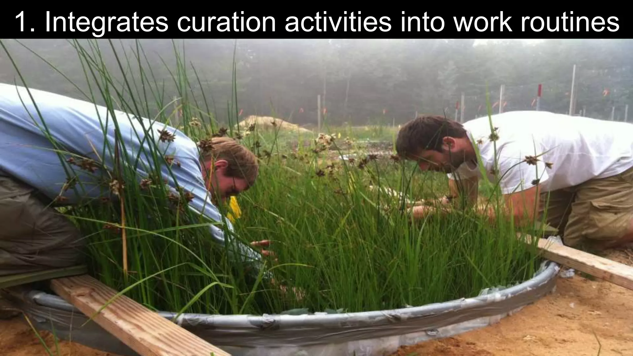 1. Integrates curation activities into work routines
