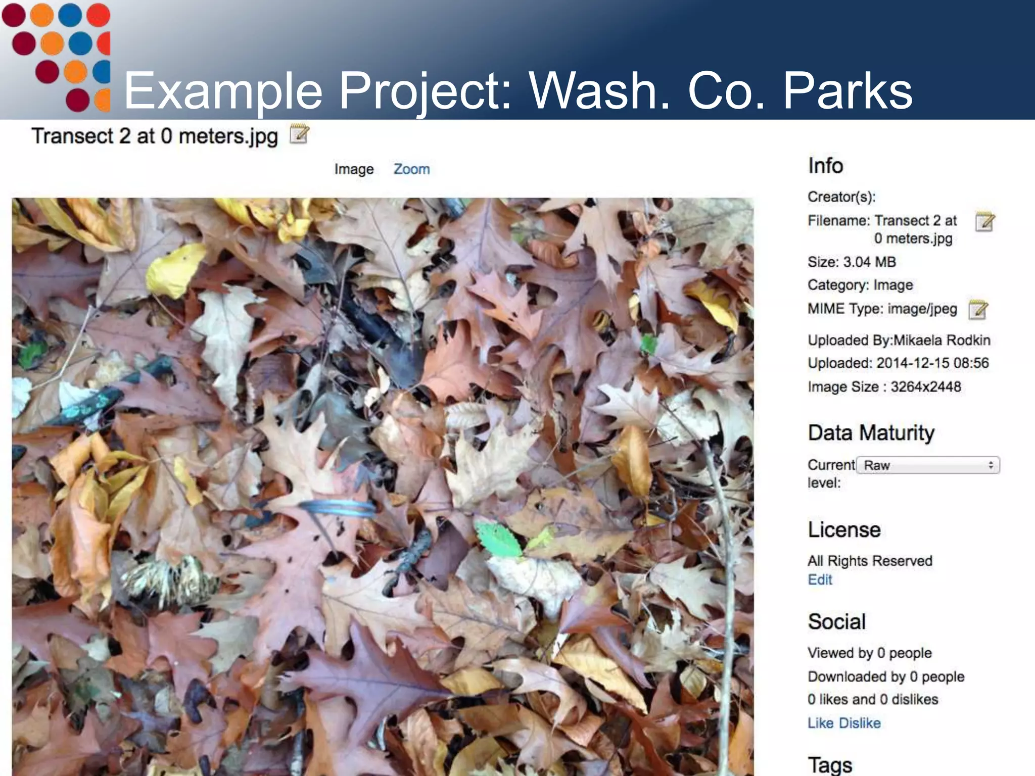 Example Project: Wash. Co. Parks