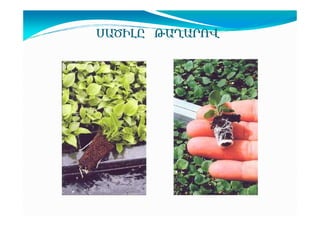 ê²ÌÆÈÀ Â²Ô²ðàì

 