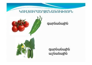 ÎàôÈîàôð²Þðæ²Ü²èàôÂÚàôÜ
·³ñÝ³Ý³ÛÇÝ

·³ñÝ³Ý³ÛÇÝ
³ßÝ³Ý³ÛÇÝ

 