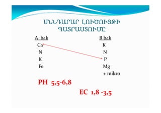 ՍՆՆԴԱՐԱՐ ԼՈՒԾՈՒՅԹԻ
ՊԱՏՐԱՍՏՈՒՄԸ
A bak
Ca
N
K
Fe

B bak
K
N
P
Mg
+ mikro

PH 5,5-6,8
EC 1,8 -3,5

 