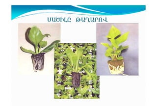 ê²ÌÆÈÀ Â²Ô²ðàì

 