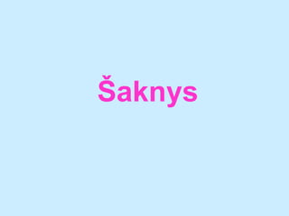 ?aknys

 