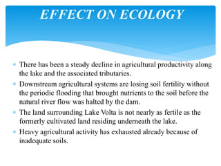  There has been a steady decline in agricultural productivity along
the lake and the associated tributaries.
 Downstream agricultural systems are losing soil fertility without
the periodic flooding that brought nutrients to the soil before the
natural river flow was halted by the dam.
 The land surrounding Lake Volta is not nearly as fertile as the
formerly cultivated land residing underneath the lake.
 Heavy agricultural activity has exhausted already because of
inadequate soils.
EFFECT ON ECOLOGY
 