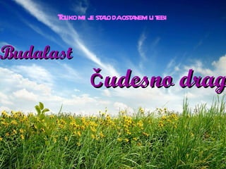 Toliko mi je stalo da ostanem u tebi Budalast čudesno drag 