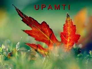 U P A M T I 
