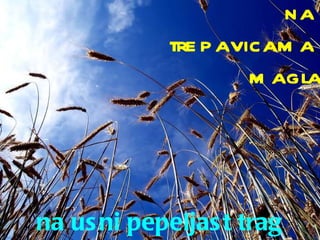 na  trepavicama  magla na usni pepeljast trag 