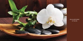 RELAX & RECHARGE
AT THE SPA

 