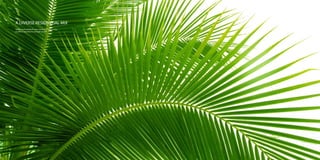 A DIVERSE RESIDENTIAL MIX
We’ve accommodated every need with luxury villas,
mansions, townhouses and golf condos.

 