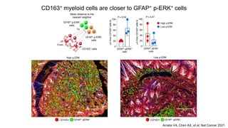 Perk Exploring Predictive Biomarkers and ERK1/2 Phosphorylation: A New ...