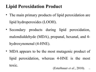 Akpa_John_ Lipid_.Peroxidation_.NEW.pptx