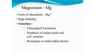 Magnesium - Mg
 Form of absorption - Mg2+
 High Mobility
 Function :
1. Chlorophyll Formation
2. Synthesis of amino acids and
cell proteins
3. Resistance to unfavorable factors
 