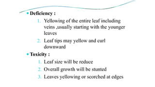  Deficiency :
1. Yellowing of the entire leaf including
veins ,usually starting with the younger
leaves
2. Leaf tips may yellow and curl
downward
 Toxicity :
1. Leaf size will be reduce
2. Overall growth will be stunted
3. Leaves yellowing or scorched at edges
 