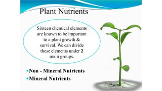 Plant Nutrients
Sixteen chemical elements
are known to be important
to a plant growth &
survival. We can divide
these elements under 2
main groups.
Non - Mineral Nutrients
Mineral Nutrients
 