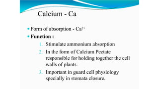 Calcium - Ca
 Form of absorption - Ca2+
 Function :
1. Stimulate ammonium absorption
2. In the form of Calcium Pectate
responsible for holding together the cell
walls of plants.
3. Important in guard cell physiology
specially in stomata closure.
 