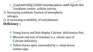 4. Used activating certain enzymes and to send signals that
coordinate certain cellular activity.
1) Increasing symbiotic fixation of atmospheric
nitrogen.
2) It increasing availability of molybdenum.
Deficiency :
 Young leaves and fruit display Calcium deficiencies first.
 Blossom end root of tomatoes is a classic case of
Calcium deficiency
 Yellow brown spots surrounded by a sharp brown
outline edge.
 