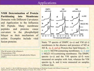 39
Static 31P spectra of DMPC (a–c) and VM (d–i)
membranes in the absence and presence of M2 at
303 K. (a, d, and g) Protein-free lipid bilayers. (b,
e, and h) M2TM-containing membranes. (c, f, and
i) M2(21–61)-containing membranes. The DMPC
spectra (a–c) and the VM spectra (d–f) were
measured on samples with Amt, whereas the VM
spectra (g, h, and i) were measured on samples
without Amt.
Applications
NMR Determination of Protein
Partitioning into Membrane
Domains with Different Curvatures
and Application to the Influenza
M2 Peptide. Many membrane
peptides and proteins cause
curvature to the phospholipid
bilayer as their mechanism of
action. Examples include viral
fusion proteins
The M2 protein of the influenza A.
Transmembrane (TM)
1,2-dimyristoyl-sn-glycero-3-phosphocholine bilayers.
(DMPC)
Tuo W.; Sarah D. C.; Mei H.NMR Determination of Protein Partitioning into Membrane Domains with Different Curvatures and
Application to the Influenza M2 Peptide. Biophysical Journal. 2012, 102(4) ,787–794
 