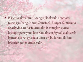 • Plasenta akreatanın sonografik olarak antenatal
teşhis için Yang, Hong, Comstock, Elsayes, Sumigama
ve arkadaşları hastaların klinik sonuçları ayrıca
hastayı operasyona hazırlamak için faydalı olabilecek
konvansiyonel gri skala ultrason kullanımı ile bazı
kriterler rapor etmişlerdir.
 