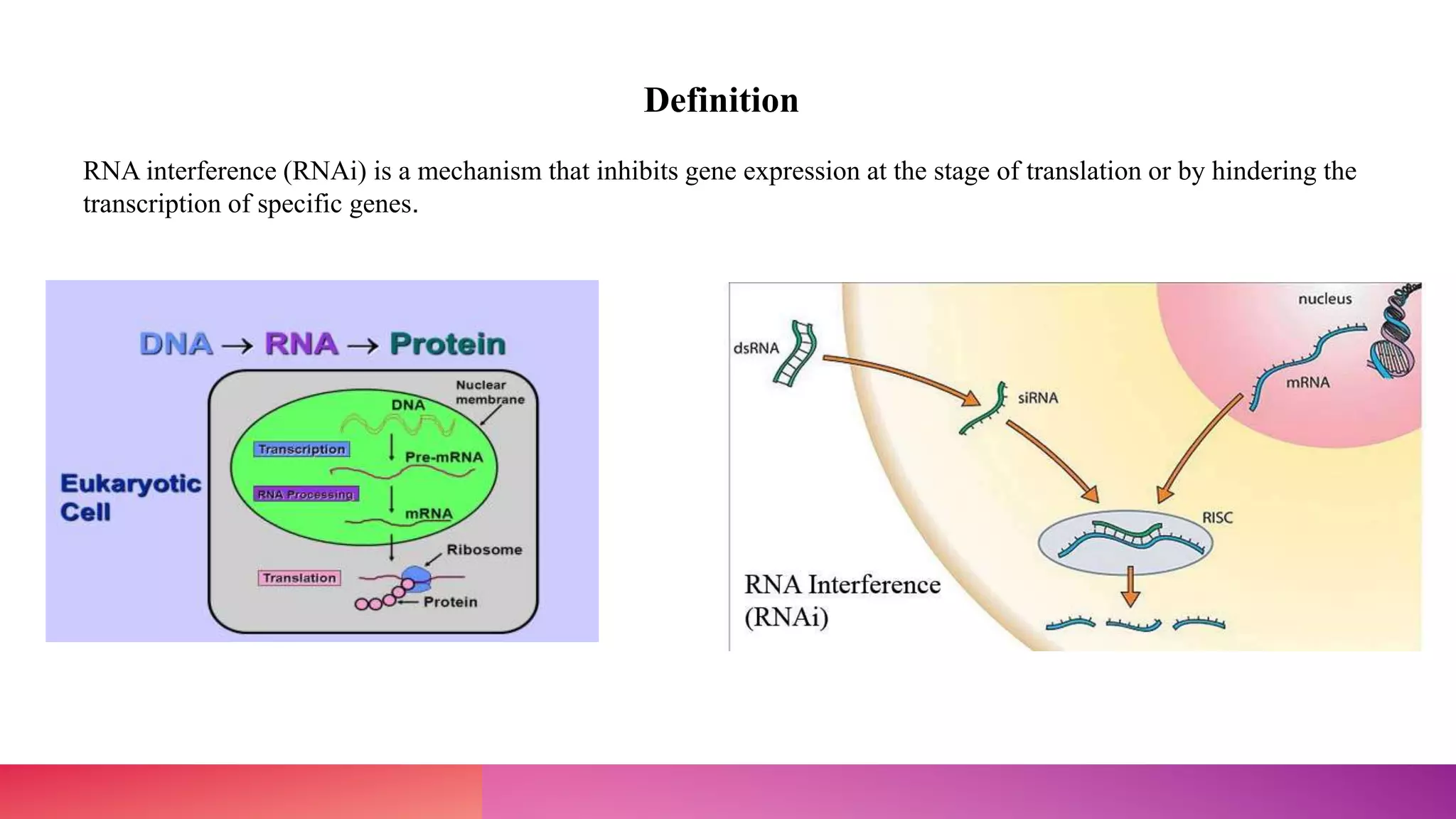 Definition
RNA interference (RNAi) is a mechanism that inhibits gene expression at the stage of translation or by hindering the
transcription of specific genes.
 