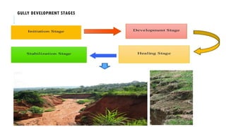 (Akriti Sudhakar)gully control structures.pptx