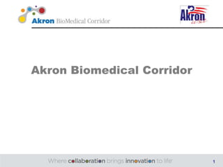 Akron Biomedical Corridor




                            1
 