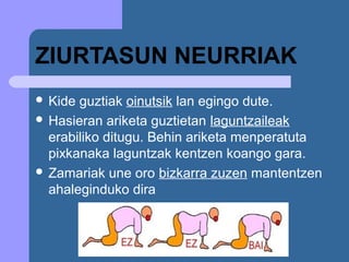 ZIURTASUN NEURRIAK
 Kide guztiak oinutsik lan egingo dute.
 Hasieran ariketa guztietan laguntzaileak
  erabiliko ditugu. Behin ariketa menperatuta
  pixkanaka laguntzak kentzen koango gara.
 Zamariak une oro bizkarra zuzen mantentzen
  ahaleginduko dira
 