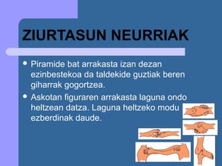 ZIURTASUN NEURRIAK
 Piramide  bat arrakasta izan dezan
  ezinbestekoa da taldekide guztiak beren
  giharrak gogortzea.
 Askotan figuraren arrakasta laguna ondo
  heltzean datza. Laguna heltzeko modu
  ezberdinak daude.
 