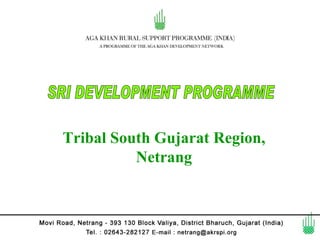 Tribal South Gujarat Region,
          Netrang
 