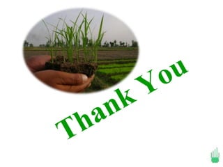 o u
      k Y
   a n
T h
 